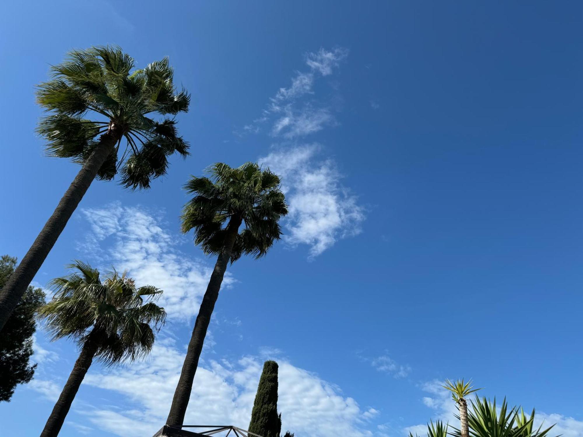 Amazing Sea View Apartment In Miraflores La Cala De Mijas Exterior foto